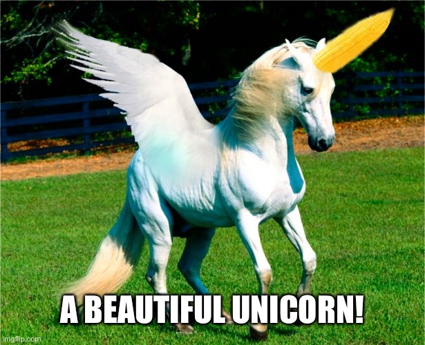 Unicorn on the cob  | A BEAUTIFUL UNICORN! | image tagged in unicorn on the cob | made w/ Imgflip meme maker