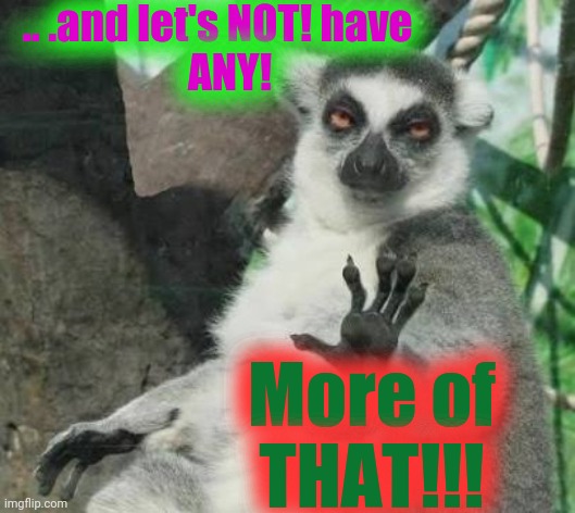 No thanks lemur | .. .and let's NOT! have   
ANY! More of
THAT!!! | image tagged in no thanks lemur | made w/ Imgflip meme maker