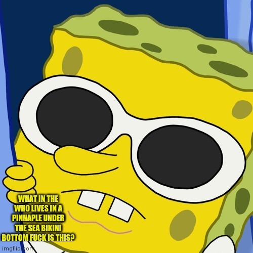 image tagged in what in the who lives in a pineapple under the sea | made w/ Imgflip meme maker