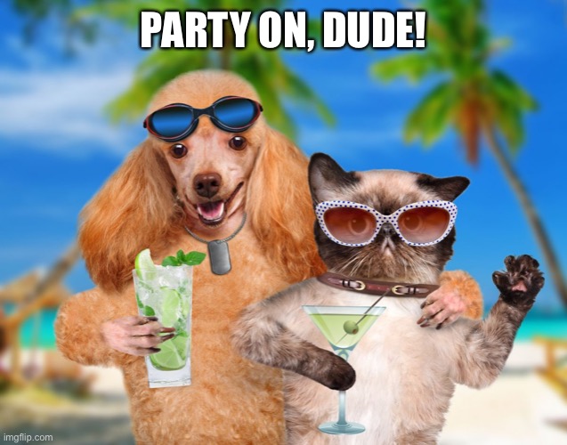 Cat and Dog Sipping Cocktails | PARTY ON, DUDE! | image tagged in cat and dog sipping cocktails | made w/ Imgflip meme maker