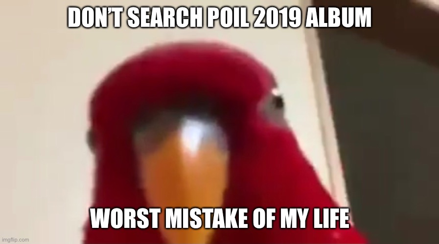 AMOGUS REFERENC!!!!111!!!! | DON’T SEARCH POIL 2019 ALBUM; WORST MISTAKE OF MY LIFE | image tagged in bird,amogus,sus,among us,stare | made w/ Imgflip meme maker