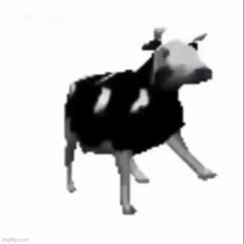 dancing polish cow | image tagged in dancing polish cow | made w/ Imgflip meme maker