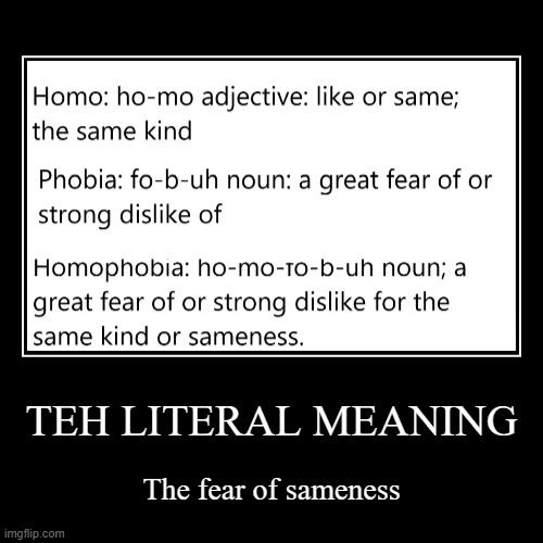 The literal meaning | TEH LITERAL MEANING | The fear of sameness | image tagged in demotivationals,truth | made w/ Imgflip demotivational maker