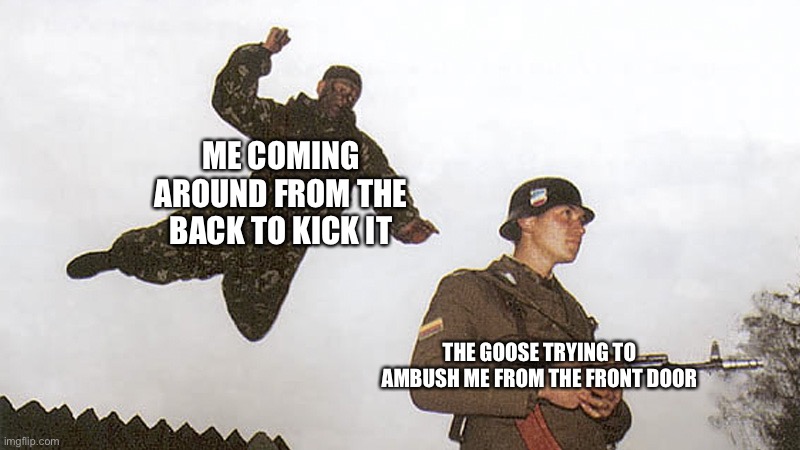 Soldier jump spetznaz | ME COMING AROUND FROM THE BACK TO KICK IT THE GOOSE TRYING TO AMBUSH ME FROM THE FRONT DOOR | image tagged in soldier jump spetznaz | made w/ Imgflip meme maker