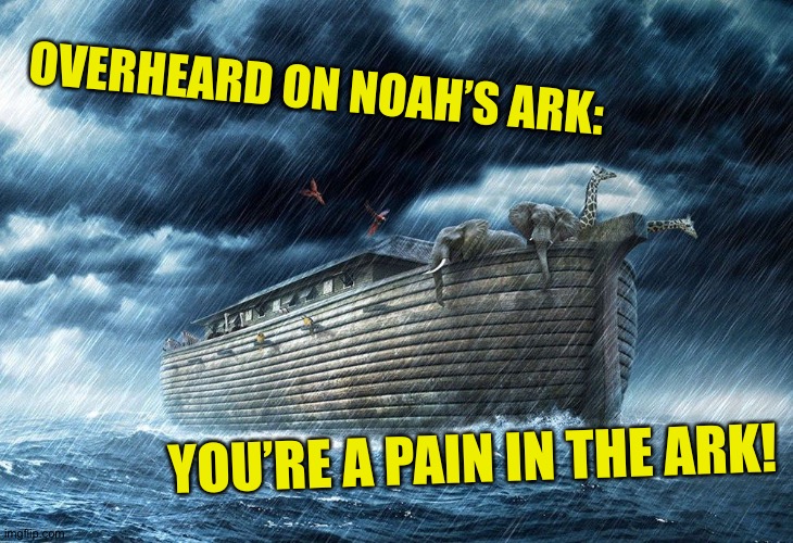 Noah's Ark |  OVERHEARD ON NOAH’S ARK:; YOU’RE A PAIN IN THE ARK! | image tagged in noah's ark,biblical humor | made w/ Imgflip meme maker