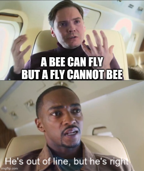 He's out of line but he's right | A BEE CAN FLY
BUT A FLY CANNOT BEE | image tagged in he's out of line but he's right,memes,bee | made w/ Imgflip meme maker