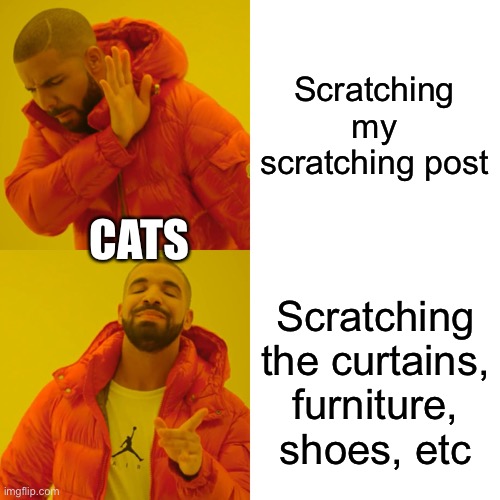 Drake Hotline Bling | Scratching my scratching post; CATS; Scratching the curtains, furniture, shoes, etc | image tagged in memes,drake hotline bling | made w/ Imgflip meme maker