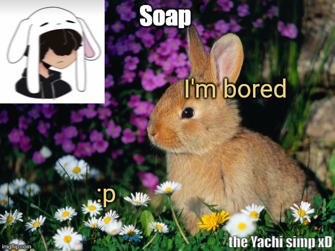 I'm bored; :p | image tagged in soap bunny temp ty yachi 3 | made w/ Imgflip meme maker