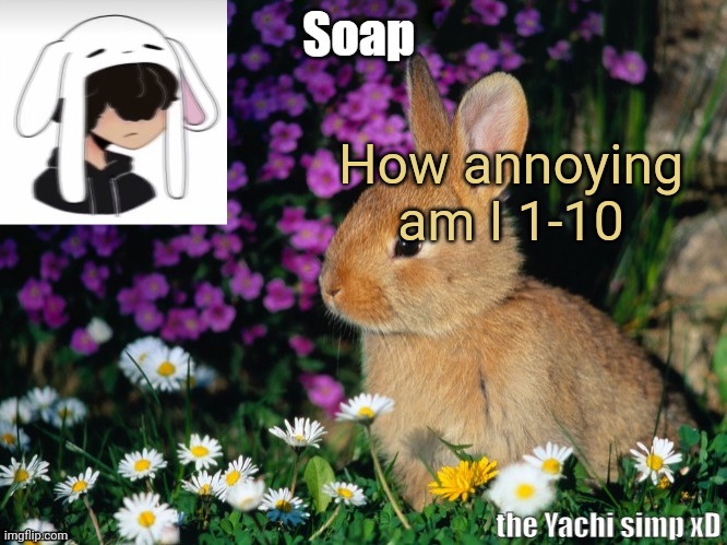 How annoying am I 1-10 | image tagged in soap bunny temp ty yachi 3 | made w/ Imgflip meme maker
