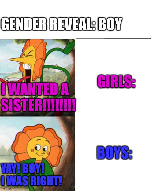 Gender reveal parties be like | GENDER REVEAL: BOY; GIRLS:; I WANTED A SISTER!!!!!!!! BOYS:; YAY! BOY! I WAS RIGHT! | image tagged in cuphead flower | made w/ Imgflip meme maker