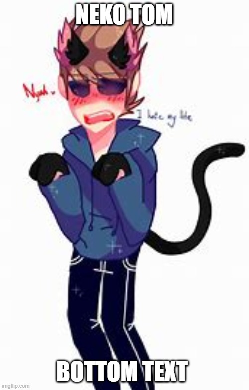 NEKO TOM BOTTOM TEXT | made w/ Imgflip meme maker