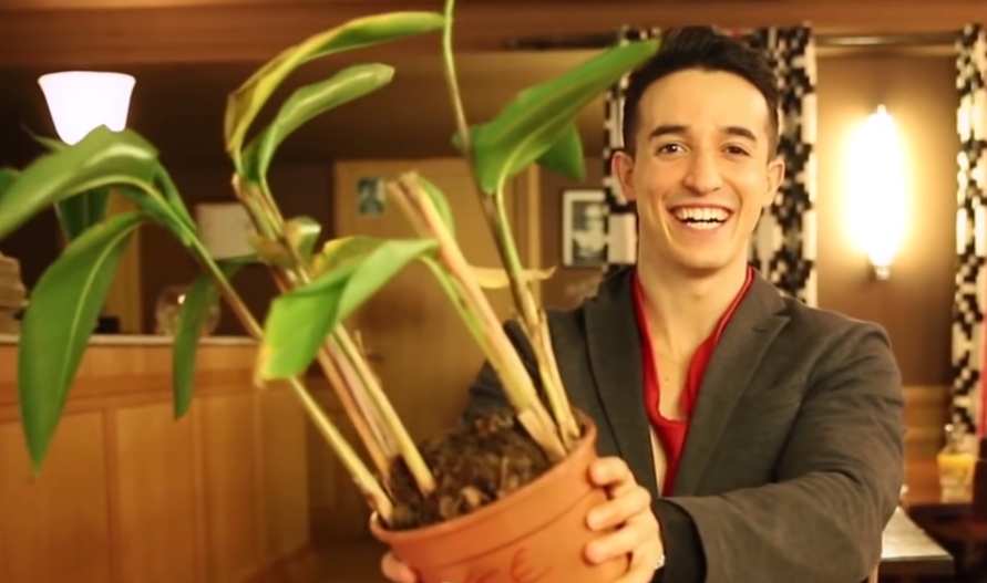 High Quality dumb man offering a plant Blank Meme Template