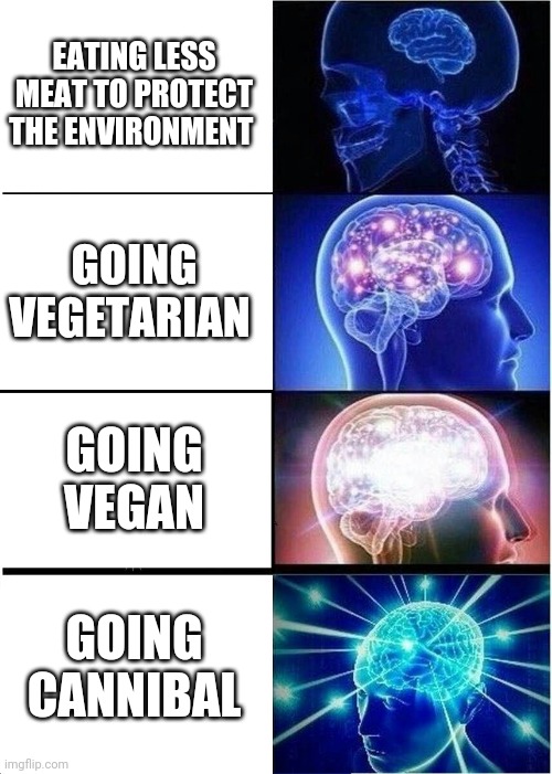 Save the planet | EATING LESS MEAT TO PROTECT THE ENVIRONMENT; GOING VEGETARIAN; GOING VEGAN; GOING CANNIBAL | image tagged in memes,expanding brain | made w/ Imgflip meme maker