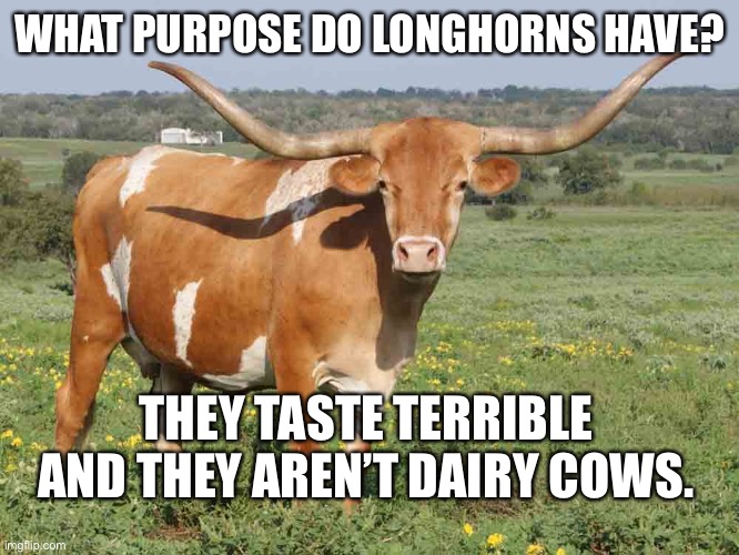 You never see a longhorn burger, and for good reason. | WHAT PURPOSE DO LONGHORNS HAVE? THEY TASTE TERRIBLE AND THEY AREN’T DAIRY COWS. | image tagged in longhorn cattle | made w/ Imgflip meme maker