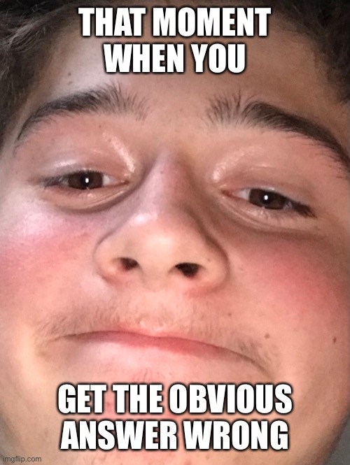 Meme face | THAT MOMENT WHEN YOU; GET THE OBVIOUS ANSWER WRONG | image tagged in fun | made w/ Imgflip meme maker