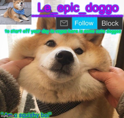 Am a squishy boi temp | to start off your day in vegas here is some cute doggos | image tagged in am a squishy boi temp | made w/ Imgflip meme maker