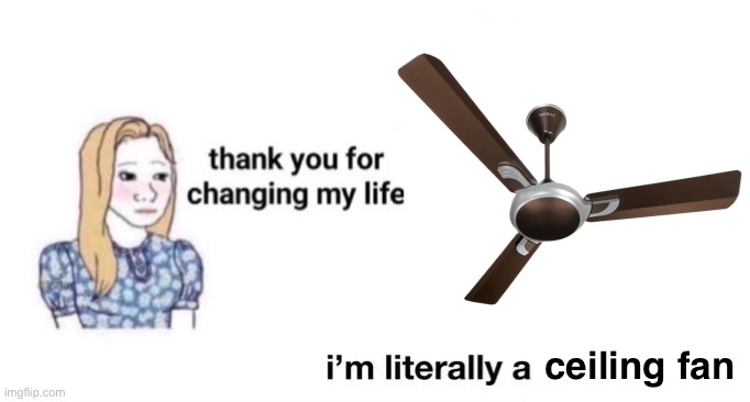 thank you for changing my life | ceiling fan | image tagged in thank you for changing my life | made w/ Imgflip meme maker