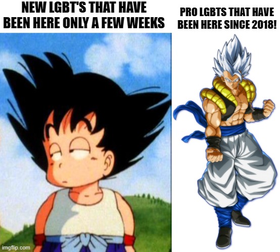 Need help? Just call a pro! | NEW LGBT'S THAT HAVE BEEN HERE ONLY A FEW WEEKS; PRO LGBTS THAT HAVE BEEN HERE SINCE 2018! | image tagged in kid goku,autonomous ultra instinct gogeta,noob,pro,lgbt,memes | made w/ Imgflip meme maker
