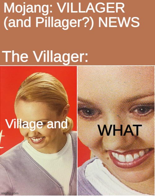 VILLAGER (and Pillager?) NEWS (The What?) | Mojang: VILLAGER (and Pillager?) NEWS; The Villager:; Village and; WHAT | image tagged in the what,minecraft villagers,news | made w/ Imgflip meme maker