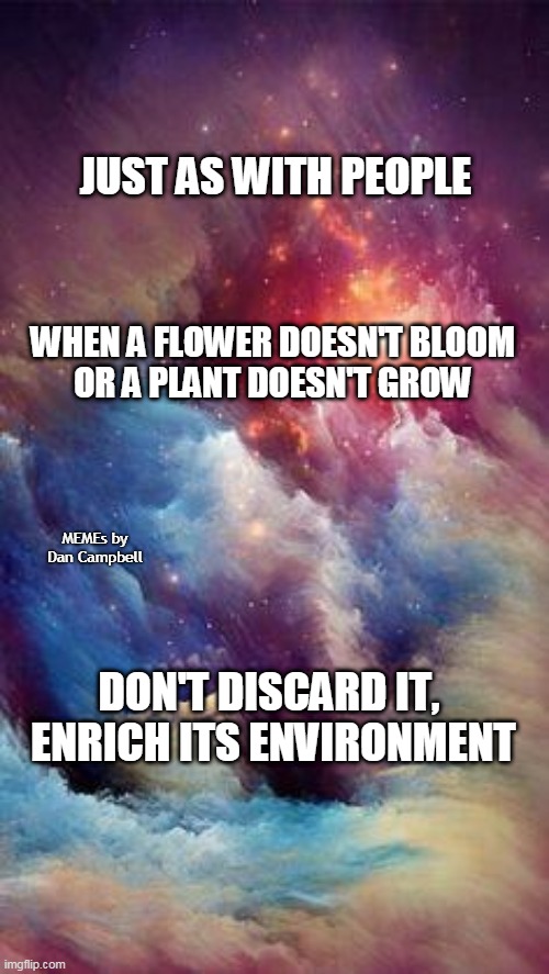 Cosmos 1 | JUST AS WITH PEOPLE; WHEN A FLOWER DOESN'T BLOOM
OR A PLANT DOESN'T GROW; MEMEs by Dan Campbell; DON'T DISCARD IT,  ENRICH ITS ENVIRONMENT | image tagged in cosmos 1 | made w/ Imgflip meme maker