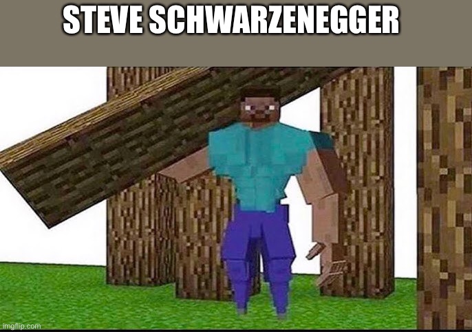 STEVE SCHWARZENEGGER | image tagged in meme,gaming | made w/ Imgflip meme maker