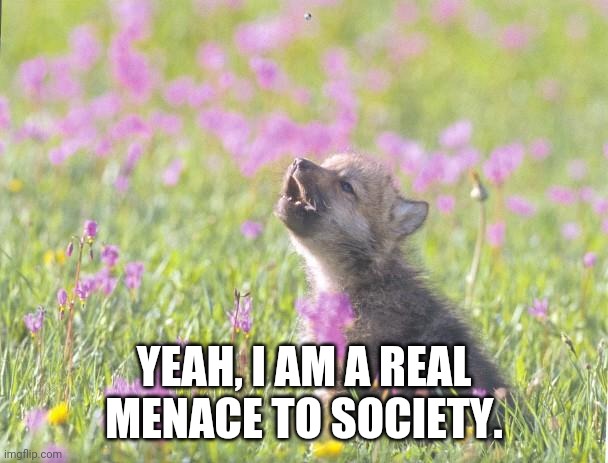 Baby Insanity Wolf Meme | YEAH, I AM A REAL MENACE TO SOCIETY. | image tagged in memes,baby insanity wolf | made w/ Imgflip meme maker