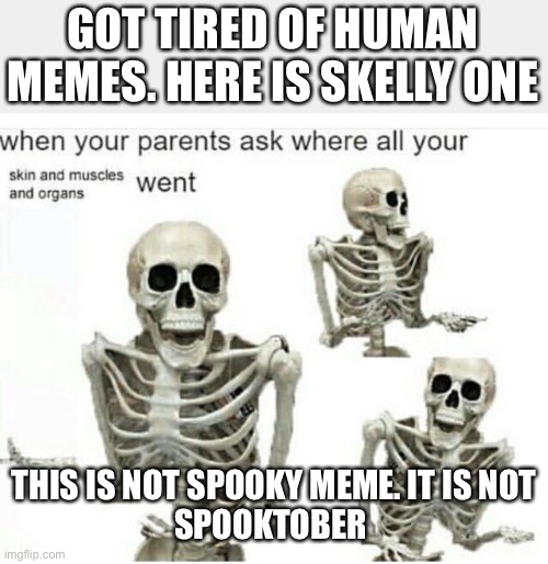 GOT TIRED OF HUMAN MEMES. HERE IS SKELLY ONE; THIS IS NOT SPOOKY MEME. IT IS NOT
SPOOKTOBER | image tagged in skeleton | made w/ Imgflip meme maker
