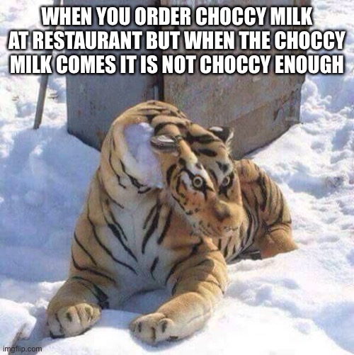 WHEN YOU ORDER CHOCCY MILK AT RESTAURANT BUT WHEN THE CHOCCY MILK COMES IT IS NOT CHOCCY ENOUGH | made w/ Imgflip meme maker