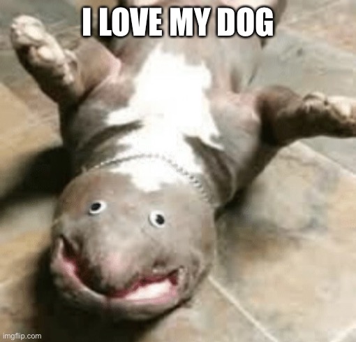 I LOVE MY DOG | image tagged in dogs | made w/ Imgflip meme maker