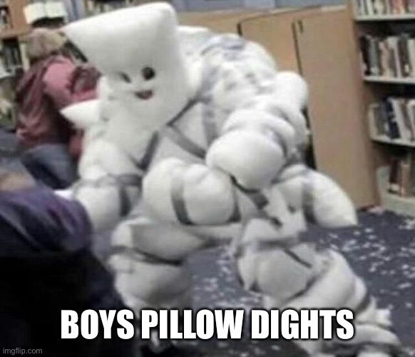 BOYS PILLOW FIGHTS | image tagged in pillow fights | made w/ Imgflip meme maker