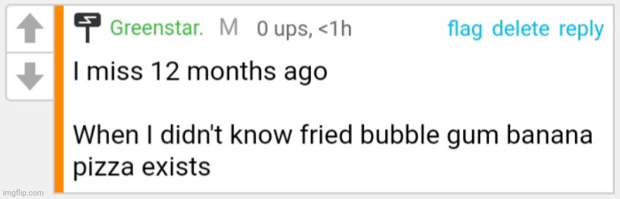 I will be posting this every day at least once | image tagged in fried bubble gum pizza | made w/ Imgflip meme maker