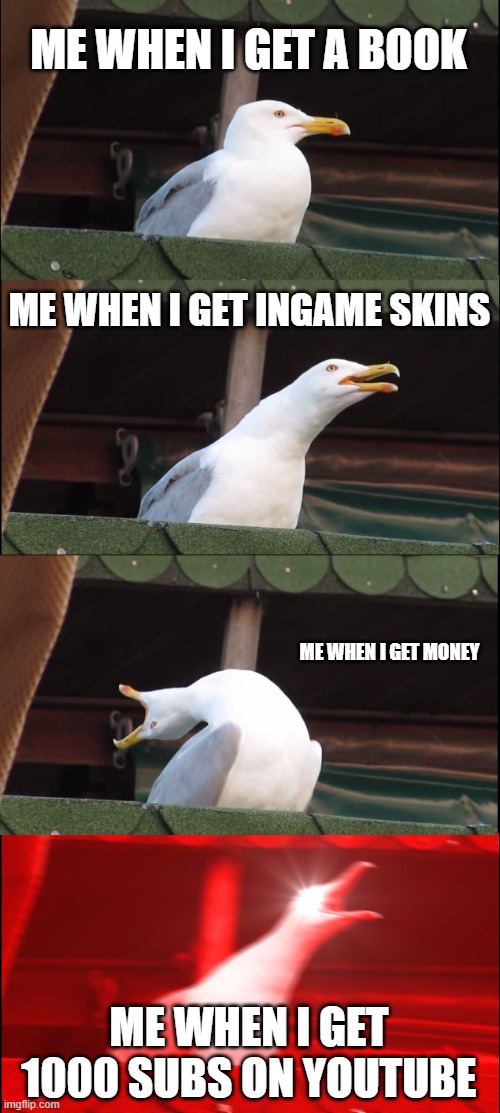 its true, right? | ME WHEN I GET A BOOK; ME WHEN I GET INGAME SKINS; ME WHEN I GET MONEY; ME WHEN I GET 1000 SUBS ON YOUTUBE | image tagged in memes,inhaling seagull | made w/ Imgflip meme maker