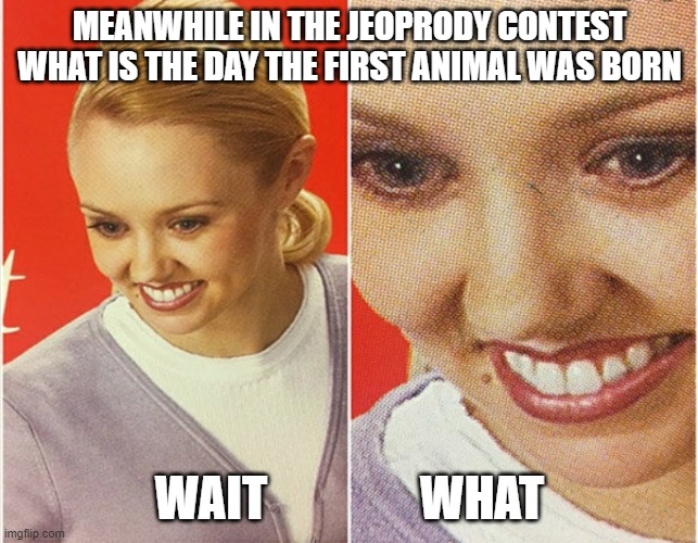 hmmm | MEANWHILE IN THE JEOPRODY CONTEST


WHAT IS THE DAY THE FIRST ANIMAL WAS BORN; WAIT                WHAT | image tagged in wait what | made w/ Imgflip meme maker