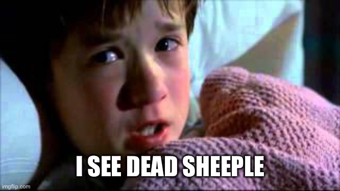 I see dead people | I SEE DEAD SHEEPLE | image tagged in i see dead people | made w/ Imgflip meme maker