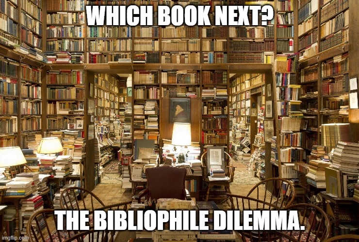 Bibliophile Dilemma | WHICH BOOK NEXT? THE BIBLIOPHILE DILEMMA. | image tagged in books,bibliophile,library | made w/ Imgflip meme maker