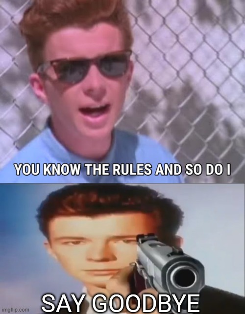 You know the rules and so do I say goodbye | image tagged in you know the rules and so do i say goodbye | made w/ Imgflip meme maker