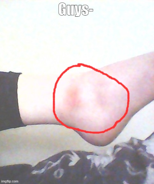 Guys- | made w/ Imgflip meme maker