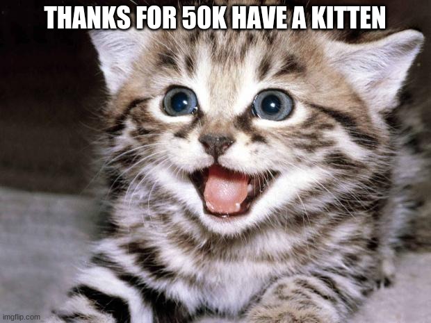thx guys | THANKS FOR 50K HAVE A KITTEN | image tagged in uber cute cat | made w/ Imgflip meme maker
