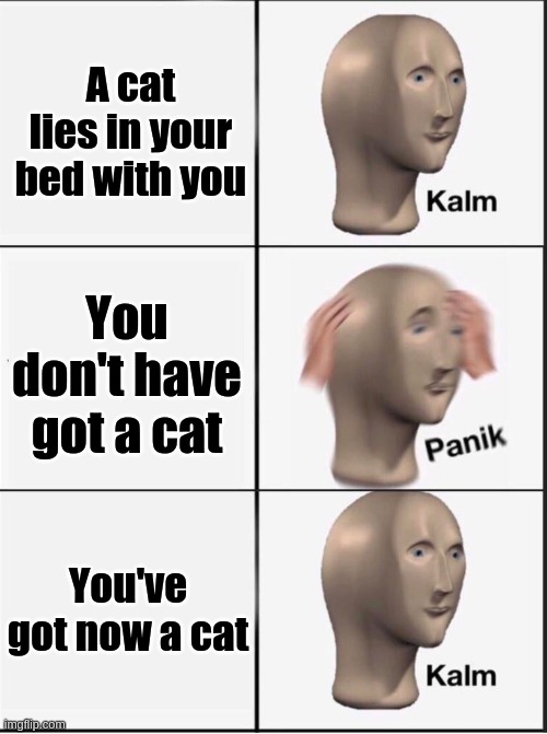 Reverse kalm panik | A cat lies in your bed with you; You don't have got a cat; You've got now a cat | image tagged in reverse kalm panik | made w/ Imgflip meme maker