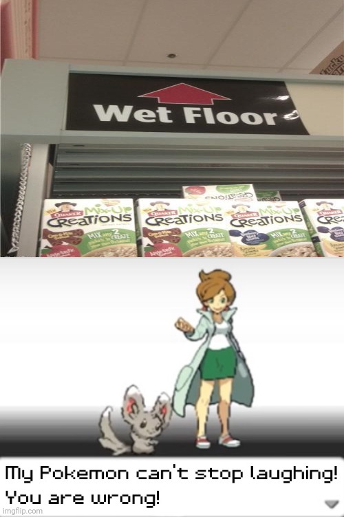 Wet floor sign pointing to the ceiling | image tagged in my pokemon can't stop laughing you are wrong,funny,memes,you had one job,signs,ceiling | made w/ Imgflip meme maker