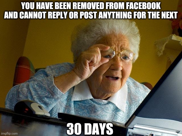 Banned | YOU HAVE BEEN REMOVED FROM FACEBOOK AND CANNOT REPLY OR POST ANYTHING FOR THE NEXT; 30 DAYS | image tagged in memes,grandma finds the internet | made w/ Imgflip meme maker