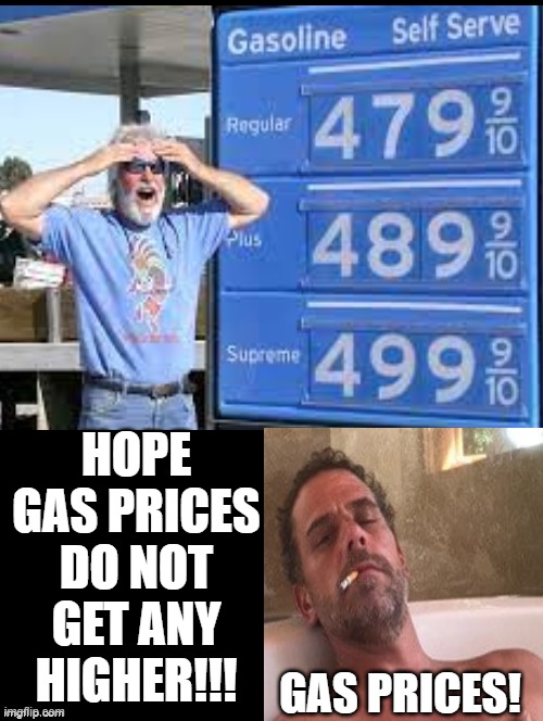 Gas Prices! | HOPE GAS PRICES DO NOT GET ANY HIGHER!!! GAS PRICES! | image tagged in stupid liberals | made w/ Imgflip meme maker