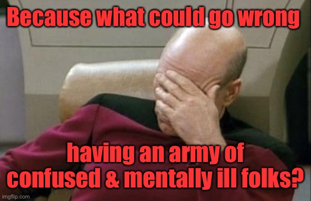 Captain Picard Facepalm Meme | Because what could go wrong having an army of confused & mentally ill folks? | image tagged in memes,captain picard facepalm | made w/ Imgflip meme maker
