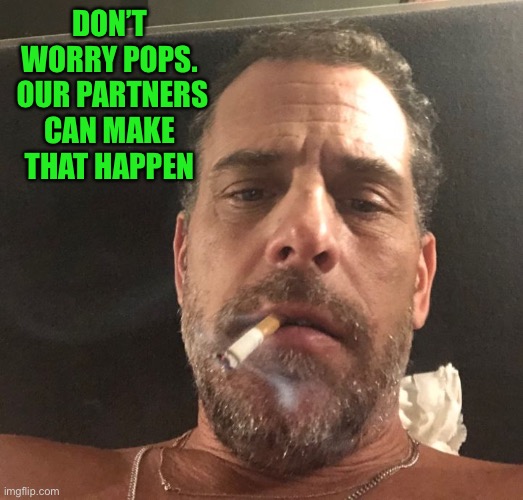 Hunter Biden | DON’T WORRY POPS.  OUR PARTNERS CAN MAKE THAT HAPPEN | image tagged in hunter biden | made w/ Imgflip meme maker