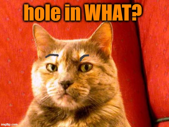 Suspicious Cat Meme | hole in WHAT? | image tagged in memes,suspicious cat | made w/ Imgflip meme maker