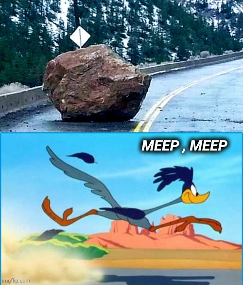 The Coyote never wins |  MEEP , MEEP | image tagged in road runner,comics/cartoons,real life,highway,acme rocks | made w/ Imgflip meme maker