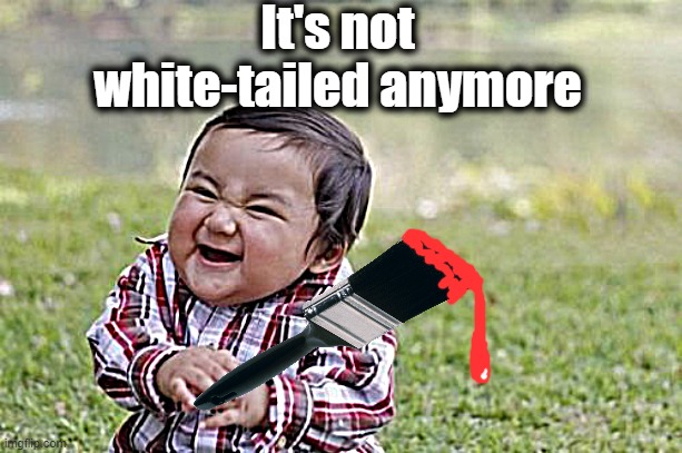 Evil Toddler Meme | It's not white-tailed anymore | image tagged in memes,evil toddler | made w/ Imgflip meme maker