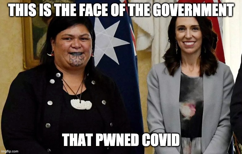 Think we need more straight white men in government? | THIS IS THE FACE OF THE GOVERNMENT THAT PWNED COVID | image tagged in covid-19,government,equality,diversity | made w/ Imgflip meme maker