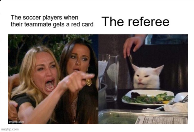 Soccer Referee | image tagged in cats,soccer,referee | made w/ Imgflip meme maker