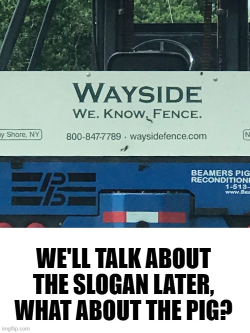Excuse me, but what pig? | WE'LL TALK ABOUT THE SLOGAN LATER, WHAT ABOUT THE PIG? | image tagged in lol so funny,wait what,well | made w/ Imgflip meme maker